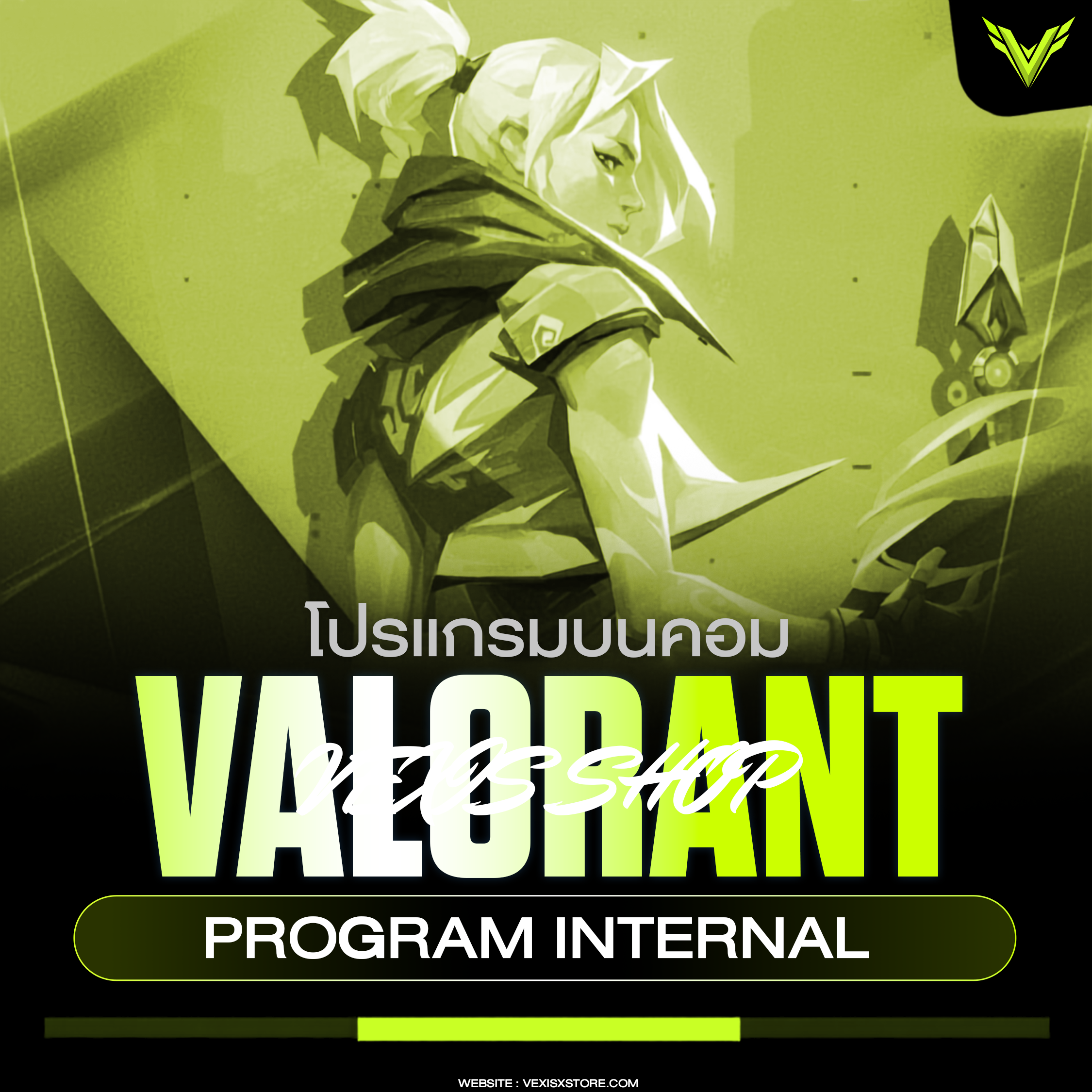 VALORANT INTERNAL