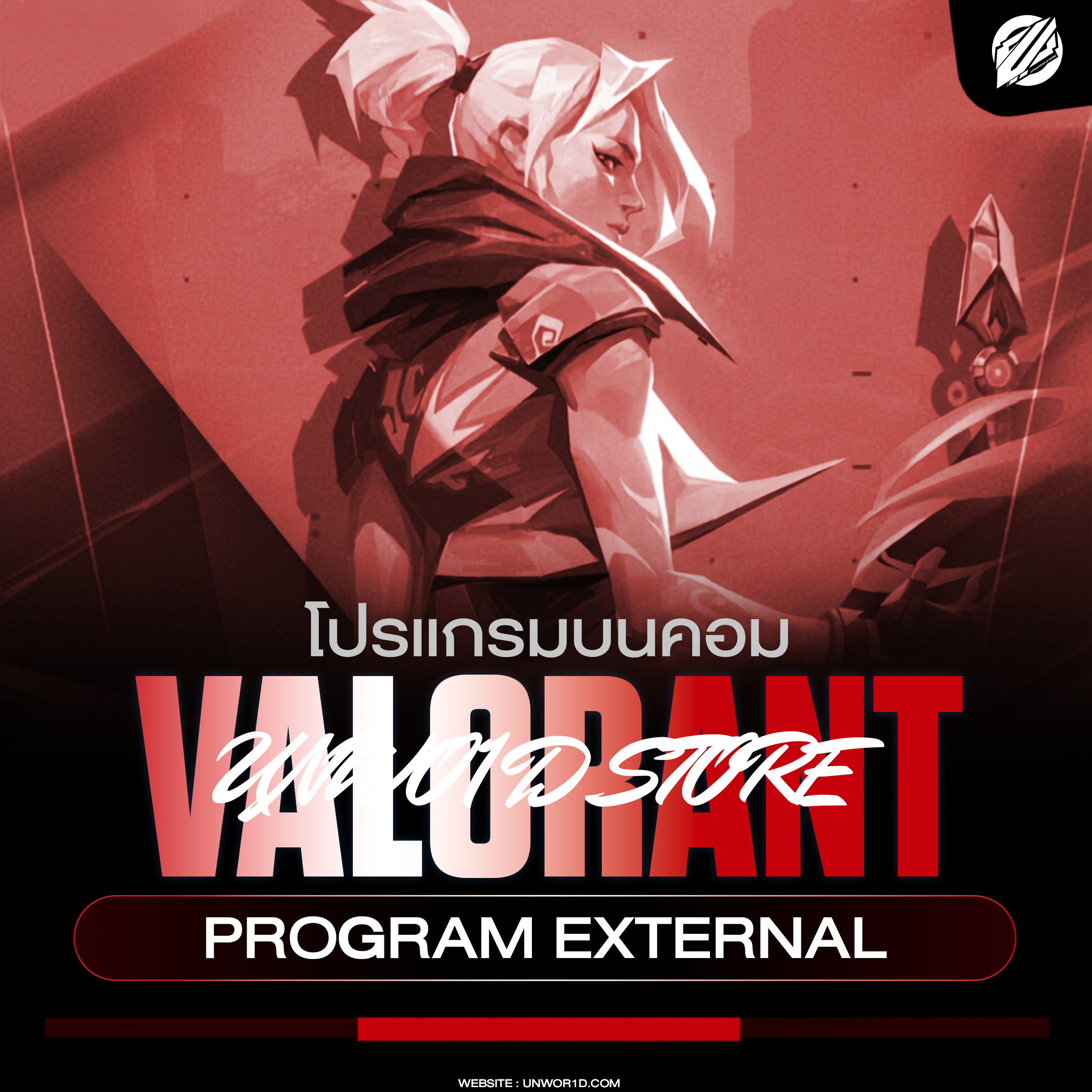 VALORANT INTERNAL