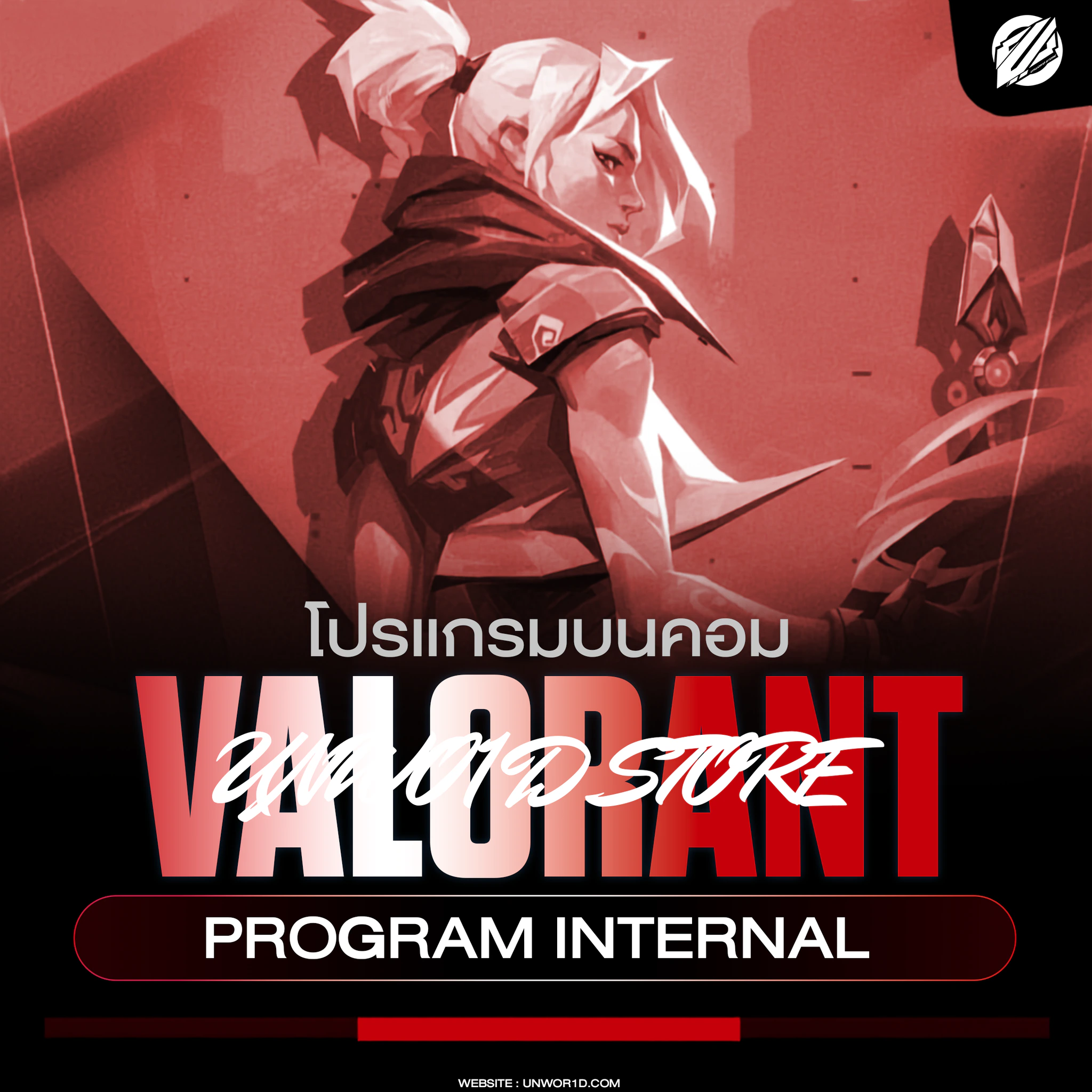 VALORANT INTERNAL